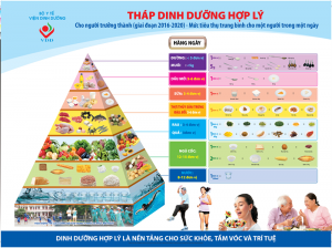 Tháp dinh dưỡng cho người trưởng thành