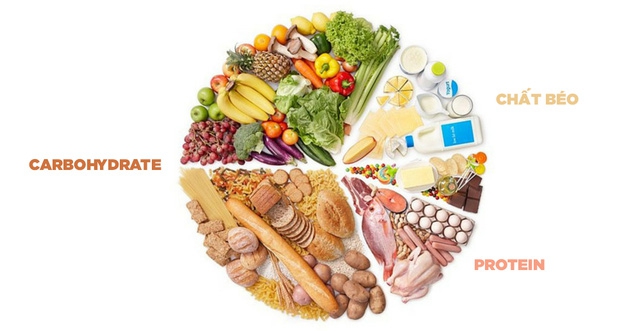 Carbohydrate là một trong ba chất đa lượng cùng với protein và chất béo