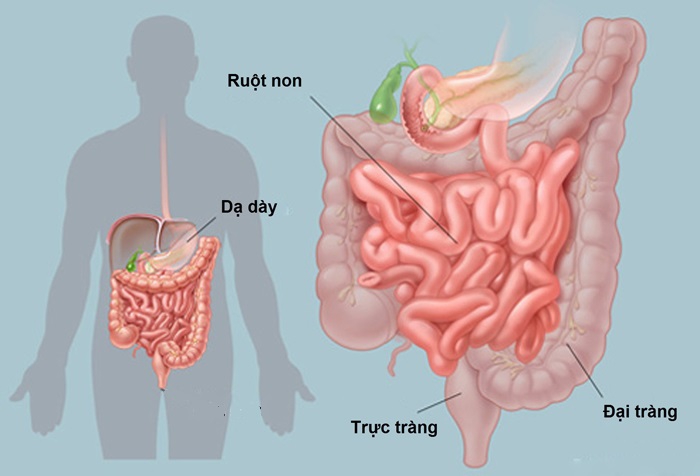 Người cao tuổi ăn uống thế nào để luôn khỏe?