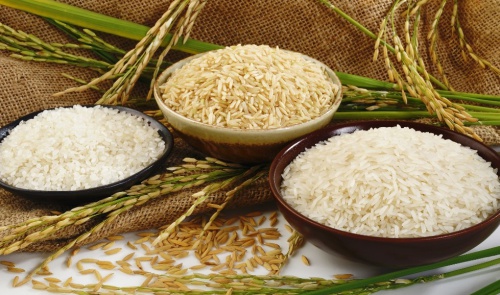Vì sao nên ăn gạo còn cám thay vì gạo trắng?