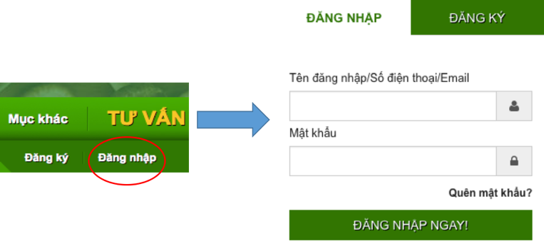 Nhập tài khoản và mật khẩu đăng nhập