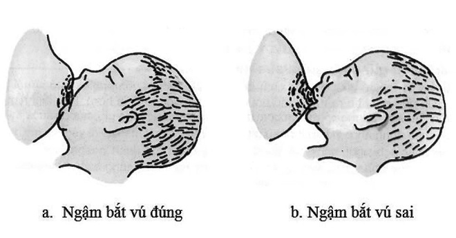 3 bước cho con bú đúng tư thế